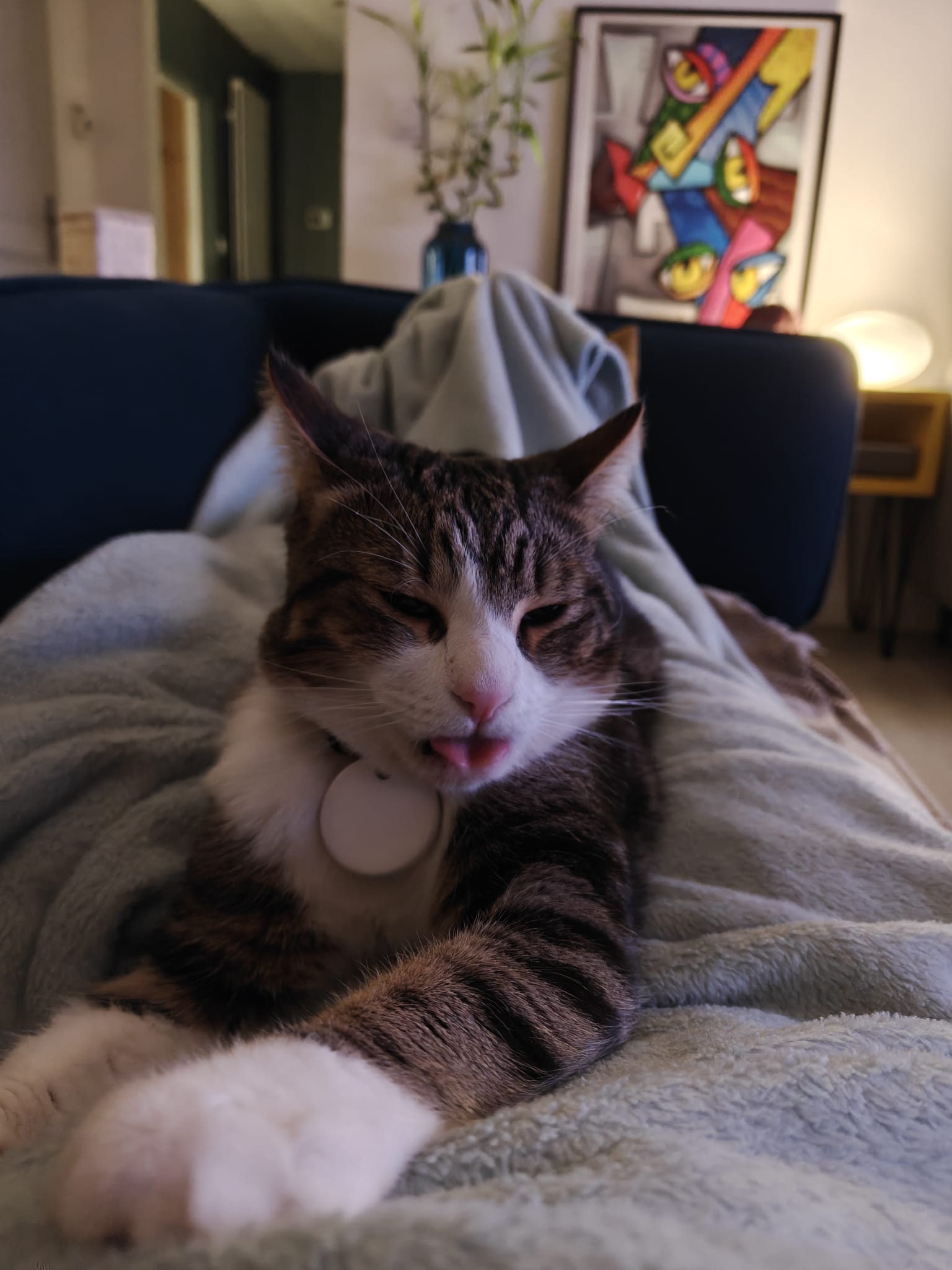 Thélios, la mascotte d'AB/CD